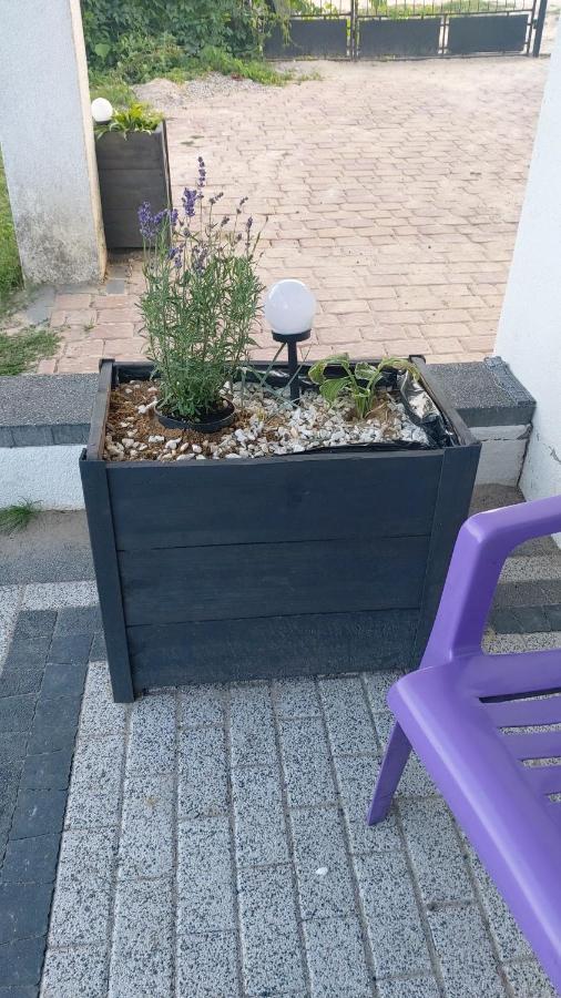 Sorkwity- Pensjonat - Stary Gielad Exteriör bild